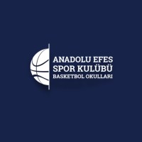 Anadolu Efes Spor Kulübü Basketbol Okulları logo - Similar company to Bi̇dev - Basketbol İçin Destek Ve Eğitim Vakfı
