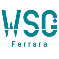 Water Systems Group logo - Similar company to Water Calling