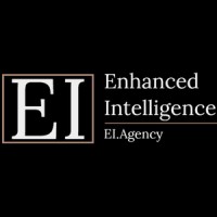EI Agency LLC logo - Similar company to Tft Technologies Llc
