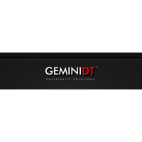 GeminiDT logo - Similar company to Geminid