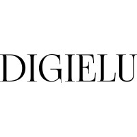 DIGIELU logo - Similar company to Andevis As