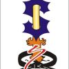 Sanjay Karate School logo - Similar company to Adopt Xr Labs