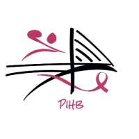 Pont de l'Iroise Handball logo - Similar company to Elorn Handball