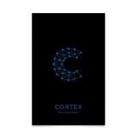 Cortex Business Intelligence logo - Similar company to Presentia Corp.