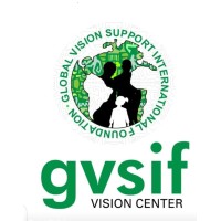 Global Vision Support International Foundation logo - Similar company to ..