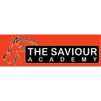 The Saviour Academy logo - Similar company to Druv Academy Ugc Net
