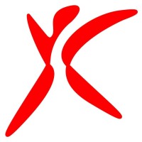 IPMA Young Crew Portugal logo - Similar company to Apogep - Associação Portuguesa De Gestão De Projetos
