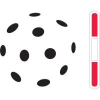 Floorball Verband Berlin-Brandenburg e.V. logo - Similar company to Fc Union