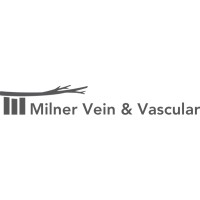 MILNER VEIN AND VASCULAR LLC logo - Similar company to Chicago Arthritis And Regenerative Medicine Llc