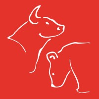 FEP Finance Club logo - Similar company to Fep International Case Team