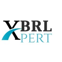 XBRL Expert logo - Similar company to Inet Business Solutions