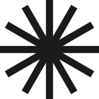 Plain Schwarz logo - Similar company to Netzwerk Transformotive