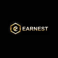 Earnest International Business Solutions logo - Similar company to Ibounce