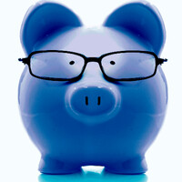 PiggyNetwork logo - Similar company to Mark & Associates Consulting Group
