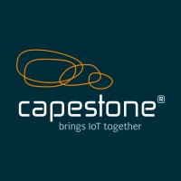 Capestone logo - Similar company to Ritesim.Com