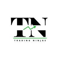 Trading Ninjas logo - Similar company to Eurevo Business Solutions Llp