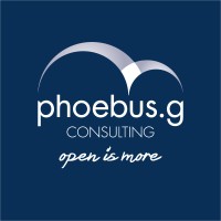 Phoebus G Consulting