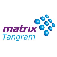 Tangram Soft logo - Similar company to Blueprint Software
