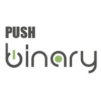 PushBinary - Mobile App Development | Website Development logo - Similar company to Atukuri Apps| Mobile App Development For Iphone, Ipad & Android