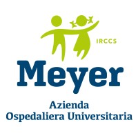 Azienda Ospedaliera Universitaria Meyer - IRCCS logo - Similar company to Tiny Work Resorts