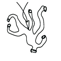 Twiggy Creative logo - Similar company to Netvisits, Inc