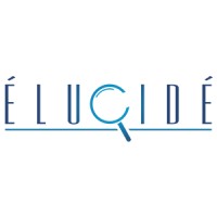 Elucide Softech Private Limited logo - Similar company to Bindu Tech Flow Solutions Private Limited