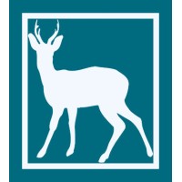 Whitedeer