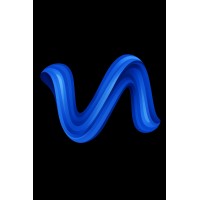 Vocal logo - Similar company to Pidginn