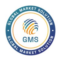 Global Market Solution logo - Similar company to Devloudly