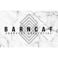 Barncat Collective Llc