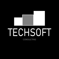 Tech Soft Consulting logo - Similar company to Soft Tech