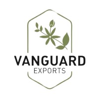 Vanguard Exports logo - Similar company to Axilion Exim Private Limited