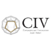 CIV - Multi Family Office logo - Similar company to Scouting Sim Family Advisors