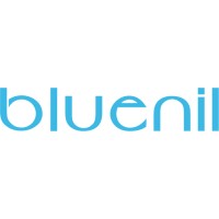 Bluenil Airline logo - Similar company to Samist Technic Aviation