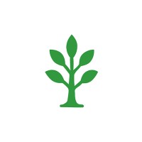 Canopy logo - Similar company to Koretransfer