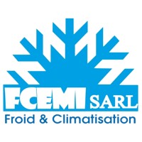 FCEMI SARL logo - Similar company to Mindup Digital