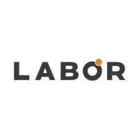 Labor Bilişim logo - Similar company to Hitroas Sem Agency
