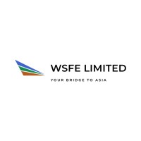 WSFE Limited logo - Similar company to Theasset