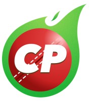 CricPlay logo - Similar company to Prais It Solutions Private Limited