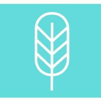 AMBIENT TRIBE LTD. logo - Similar company to Happydays Uk