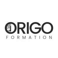 Origo Formation logo - Similar company to Qualicolis