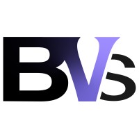 BV-Sourcing logo - Similar company to As Space Digital Ug (Haftungsbeschränkt)