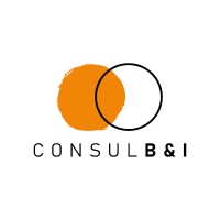 ConsulB&I di Business & Innovazione logo - Similar company to Crea Consul