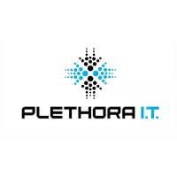 Plethora IT Solutions logo - Similar company to Chisel Source