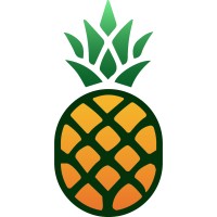 Pineapple Ai logo - Similar company to Mailpeak