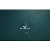 Brandwaves.im logo - Similar company to Webstartiom.Com Ltd