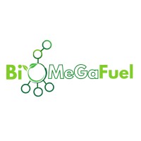 Bio-MeGaFuel Project logo - Similar company to Bio-Flexclc Project