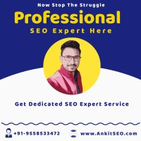 Ankit SEO Service Provider Company | Top SEO Expert india logo - Similar company to 21 Maneuvers