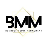 Burross Media Management logo - Similar company to Pugnacious