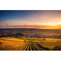 More About Me logo - Similar company to Thomas Mawer Ltd